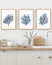 Load image into Gallery viewer, Blue Seaweed Watercolour Print - 3 Piece Set