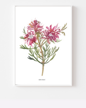Load image into Gallery viewer, Blushing Bride Fynbos Watercolour Print