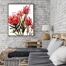 Load image into Gallery viewer, Cape Glory 1 Watercolour Print