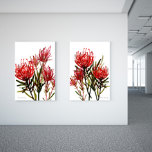 Load image into Gallery viewer, Cape Glory Watercolour Print-2 Piece Set