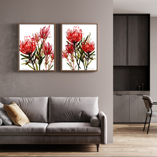 Load image into Gallery viewer, Cape Glory Watercolour Print-2 Piece Set