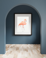 Load image into Gallery viewer, Kimberley Flamingo Watercolour Print