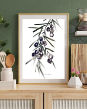 Load image into Gallery viewer, Greek Olive Watercolour Print