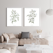 Load image into Gallery viewer, Greenery in Sage Watercolour Print 2-Piece Set