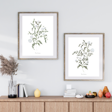 Load image into Gallery viewer, Greenery in Sage Watercolour Print 2-Piece Set