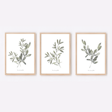 Load image into Gallery viewer, Grey Greenery Watercolour Print - 3 Piece Set