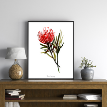 Load image into Gallery viewer, Hermanus Pin Cushion Watercolour Print