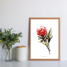 Load image into Gallery viewer, Hermanus Pin Cushion Watercolour Print
