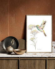 Load image into Gallery viewer, Wild Hummingbird Watercolour Print