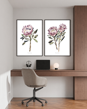 Load image into Gallery viewer, King Protea Watercolour Set - 2 Piece