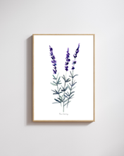 Load image into Gallery viewer, Lavender Sprig Watercolour Print