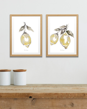 Load image into Gallery viewer, Lush Lemons Watercolour Print - 2 Piece Set