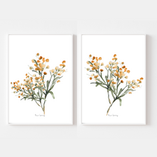Load image into Gallery viewer, Mustard Blooms Watercolour Print - 2 Piece Set