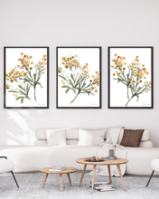Load image into Gallery viewer, Mustard Abstract Watercolour Print - 3 Piece Set