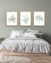 Load image into Gallery viewer, Ocean Greens Watercolour Print - 3 Piece Set
