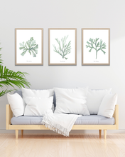 Load image into Gallery viewer, Ocean Greens Watercolour Print - 3 Piece Set