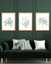 Load image into Gallery viewer, Ocean Greens Watercolour Print - 3 Piece Set