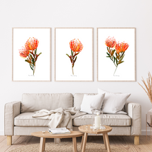 Load image into Gallery viewer, Orange Pin Cushion Watercolour Print 3-Piece Set