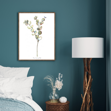 Load image into Gallery viewer, Penny Gum Watercolour Print