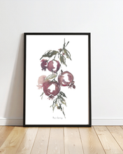 Load image into Gallery viewer, Pomegranate Branch Watercolour Print