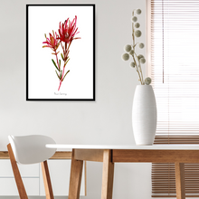 Load image into Gallery viewer, Safari Sunset Fynbos Watercolour Print
