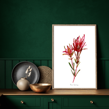 Load image into Gallery viewer, Safari Sunset Fynbos Watercolour Print