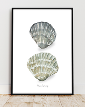 Load image into Gallery viewer, Two Shells Watercolour Print