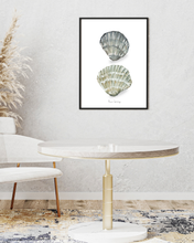 Load image into Gallery viewer, Two Shells Watercolour Print