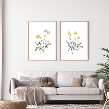 Load image into Gallery viewer, Yellow Dainty Watercolour Print - 2 Piece Set