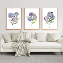 Load image into Gallery viewer, Purple Hydrangeas Watercolour Print - 3 Piece Set