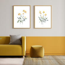Load image into Gallery viewer, Yellow Dainty Watercolour Print - 2 Piece Set