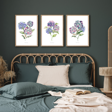 Load image into Gallery viewer, Purple Hydrangeas Watercolour Print - 3 Piece Set
