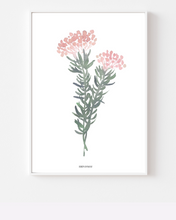 Load image into Gallery viewer, Blombos Fynbos Watercolour Print