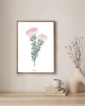 Load image into Gallery viewer, Blombos Fynbos Watercolour Print