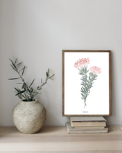 Load image into Gallery viewer, Blombos Fynbos Watercolour Print
