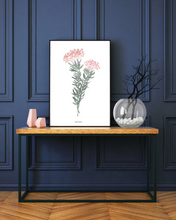 Load image into Gallery viewer, Blombos Fynbos Watercolour Print
