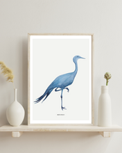Load image into Gallery viewer, Blue Crane Watercolour Print