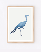 Load image into Gallery viewer, Blue Crane Watercolour Print