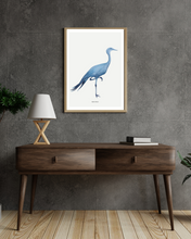 Load image into Gallery viewer, Blue Crane Watercolour Print