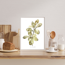 Load image into Gallery viewer, Ficus Audrey Watercolour Painting Print
