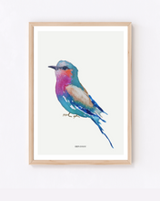 Load image into Gallery viewer, Lilac Breasted Roller Watercolour Print