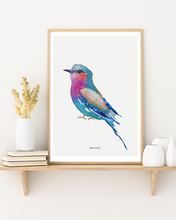 Load image into Gallery viewer, Lilac Breasted Roller Watercolour Print