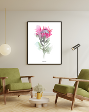 Load image into Gallery viewer, Protea Emerging Watercolour Print