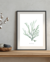 Load image into Gallery viewer, Ocean Botanical Print