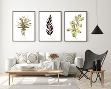 Load image into Gallery viewer, Green and Black Watercolour Print Combo -3 Piece Set