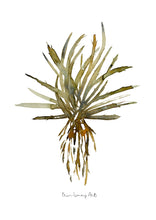 Load image into Gallery viewer, Green and Black Watercolour Print Combo -3 Piece Set