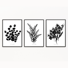 Load image into Gallery viewer, Black Botanical Print- 3 Piece Set