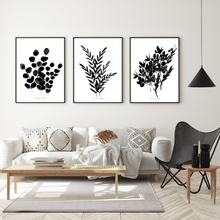Load image into Gallery viewer, Black Botanical Print- 3 Piece Set