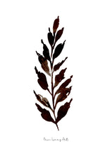 Load image into Gallery viewer, Green and Black Watercolour Print Combo -3 Piece Set