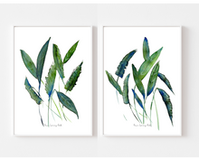 Load image into Gallery viewer, Dancing Tropical Greens 2-Piece Set